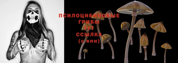 каннабис Арсеньев