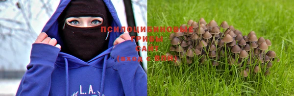 кокс Армянск
